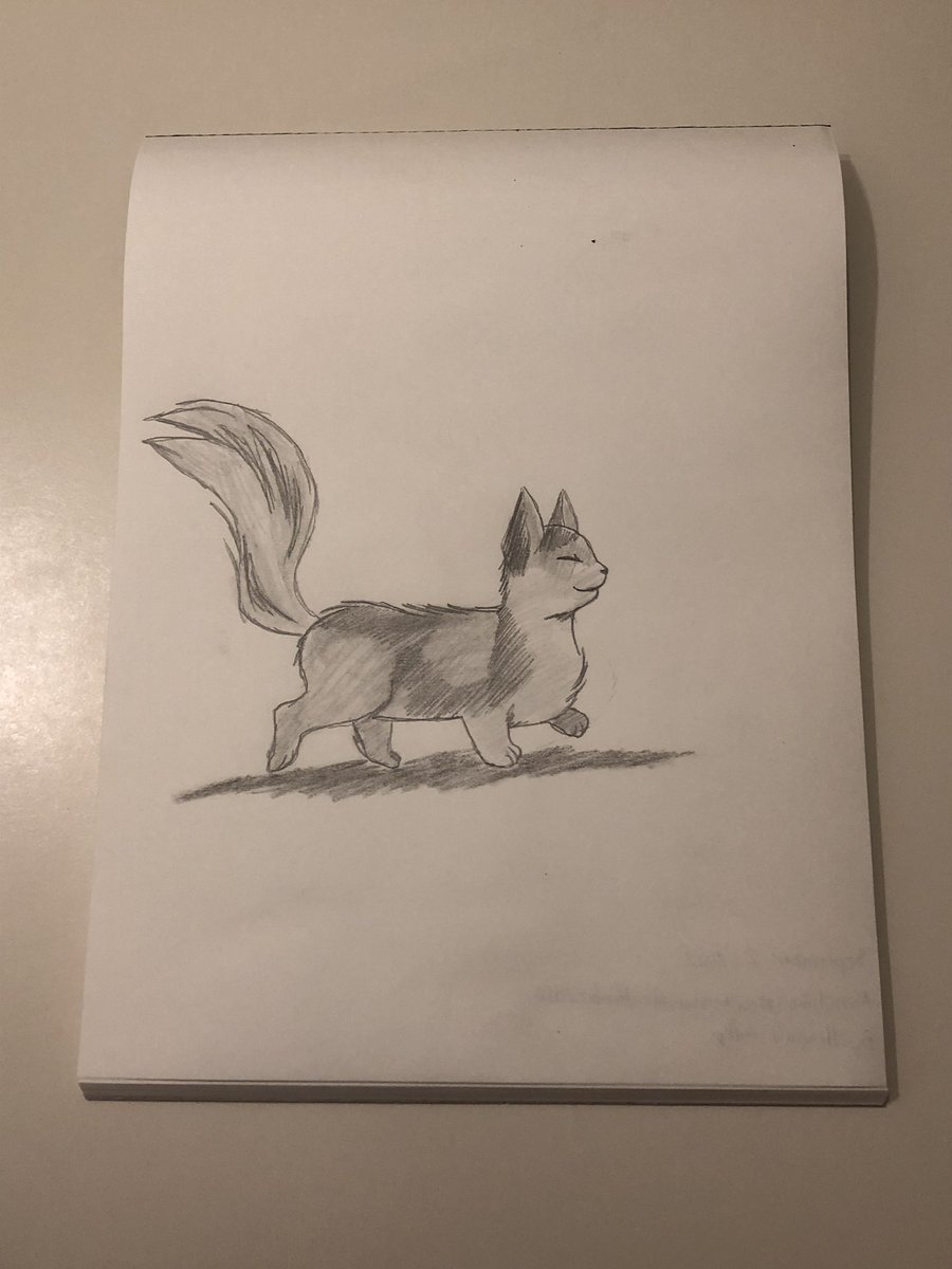 HannahGilley21's tweet photo. 🐱🐾A cat with the legs and a body of a dachshund🐱🐾
#catdrawing #drawing
#munchkincat #munchkincatdrawing
#catbreed #typeofbreedofcat
#uniquebreed #cutedrawing
#cute #cutecat https://t.co/o3QBby5fDL