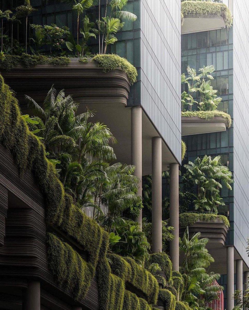parametricarch's tweet photo. Singapore studio WOHA Architects designed the PARKROYAL on Pickering hotel as an extension of Hong Lim Park, a new green space located next to the site in the centre of the city's business district.

📸 𝙅𝙚𝙣𝙨𝙤𝙣'𝙨 𝙇𝙤𝙜, Kenneth, Vick.

#singapore #woha #parkroyalpickering https://t.co/4qF9RwYYkB
