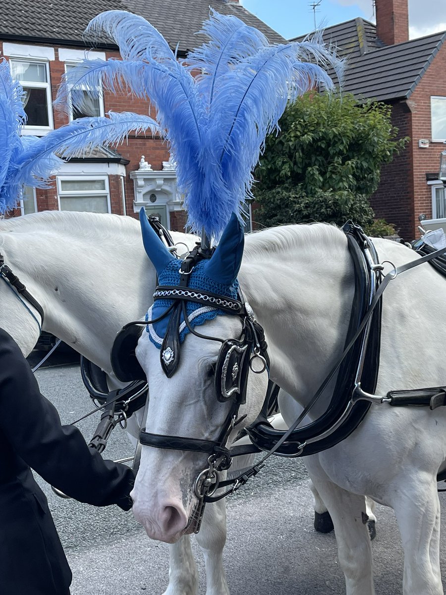 HarmonyFuneralC's tweet photo. Enjoy the time with the people who you most want to share it with.
#UKcoverage #International #Here4U #Harmony #AsianFuneralDirectors #AsianFuneralService #Horse https://t.co/iFFcwpd7qA