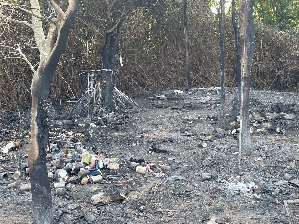 dk6910's tweet photo. @ThanetCouncil could you  be able to clear this area in pictures in Dane valley woods we’re fire was thank you https://t.co/PoLN6cHgqP