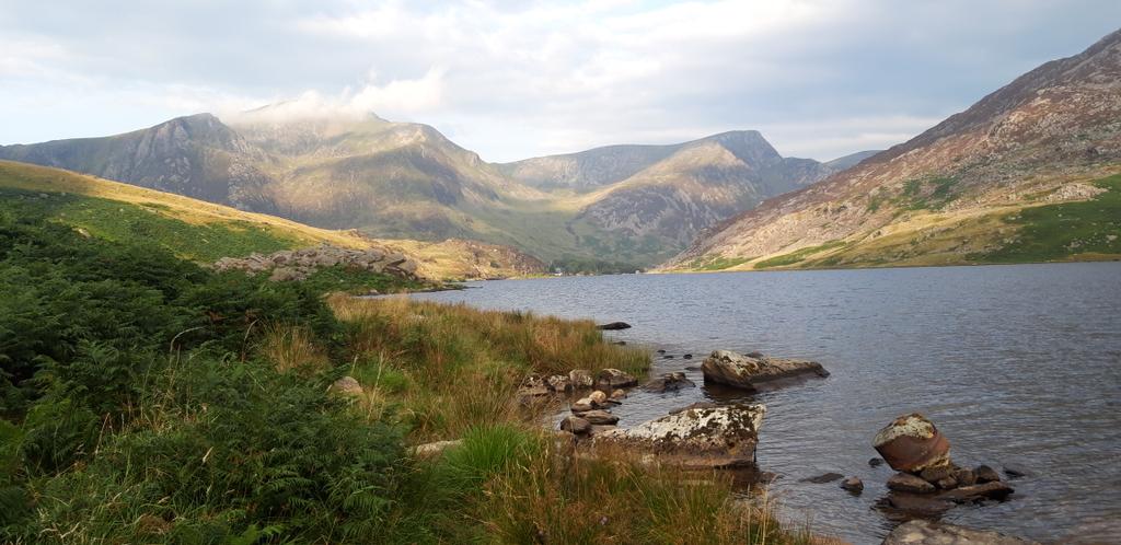 Martyn Willows tweet media