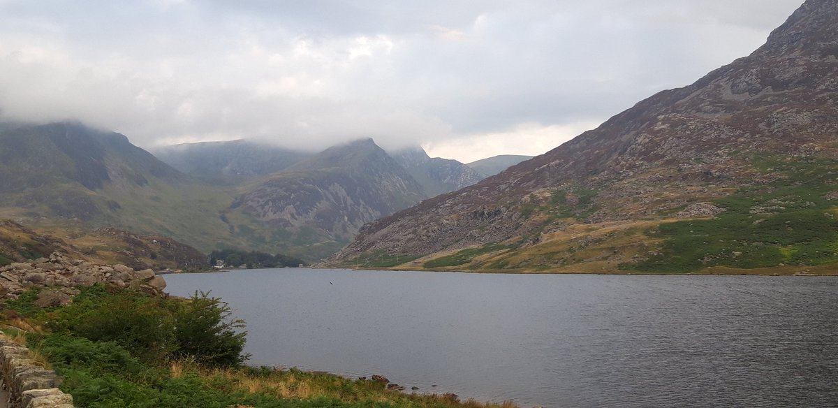 Martyn Willows tweet media