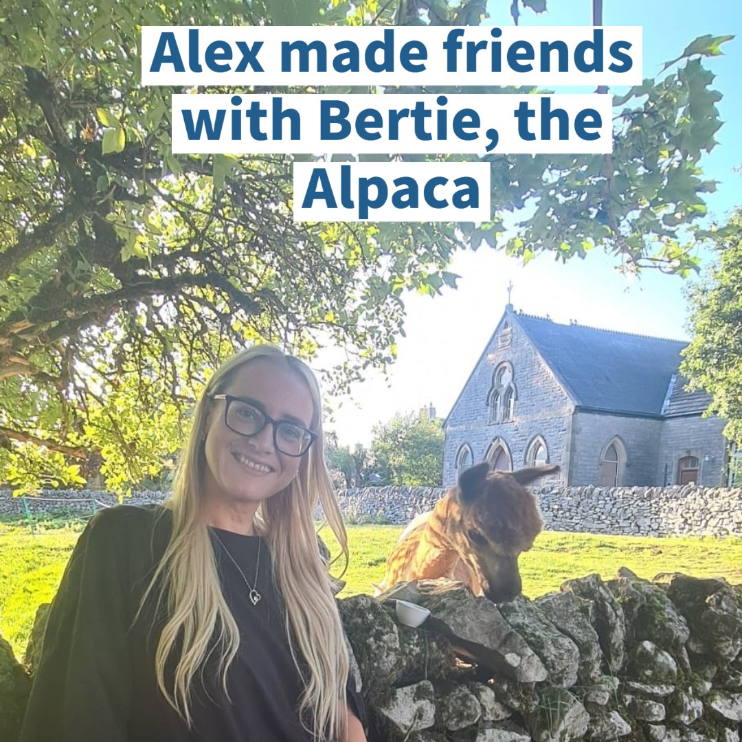 carestaff's tweet photo. Bank Holiday fun! See what our team got up to on the bank holiday weekend. We are on hand and preparing for another busy weekend delivering high quality provision of Support Workers, HCA's and Nurses throughout the UK.
#carestaffsolutions #joinus #healthandsocialcare #healthcare https://t.co/F2zVEIVD0v