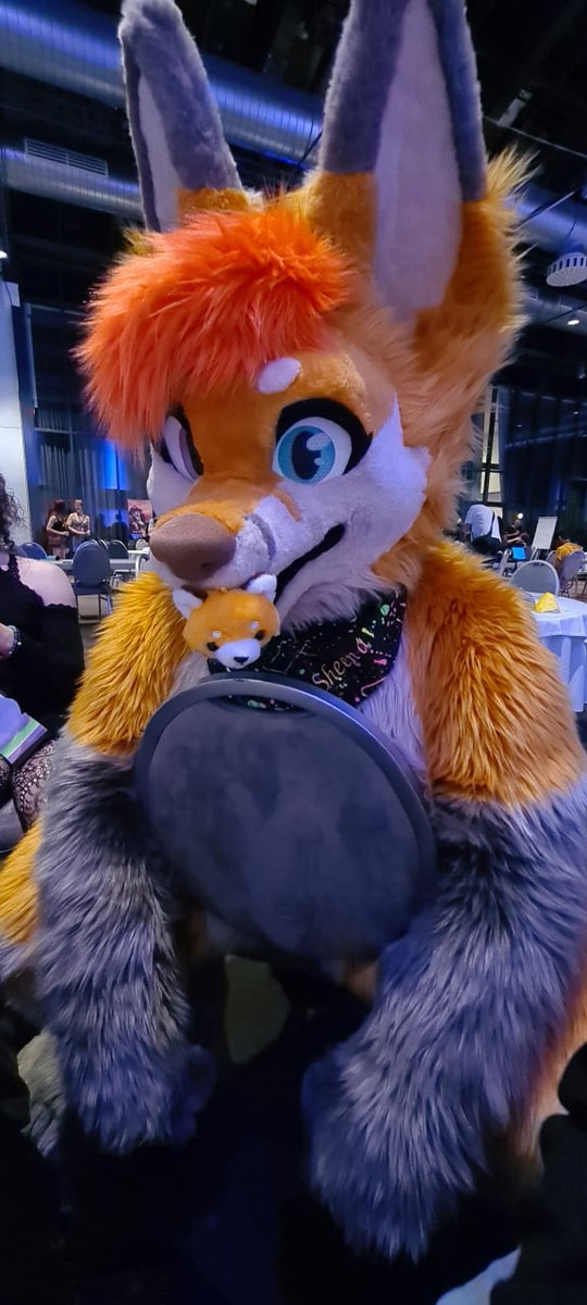 *Nom nom nom*

Happy #FursuitFriday !!

#Eurofurence26 #EF26