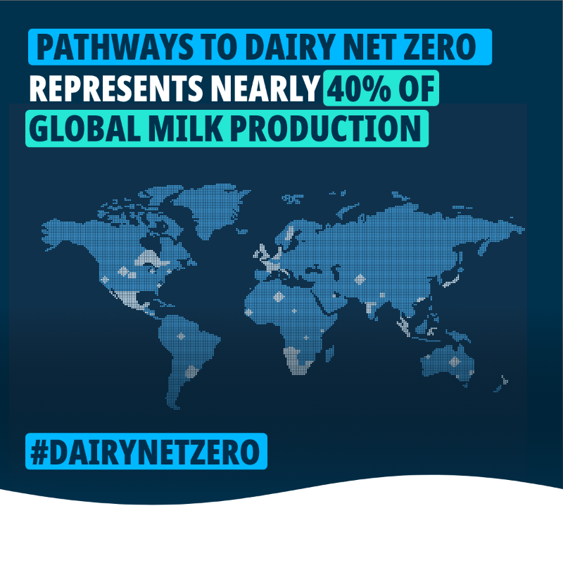 GlobalDairyP's tweet photo. More than 100 leading organizations have declared their support for #pathwaystodairynetzero, including the 10 largest dairy companies in the world, representing nearly 40% of global milk production. Find out more. #netzero #teamdairy #climatechange #dairynetzero