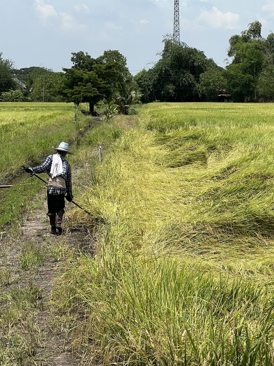 Robbie Upton tweet media