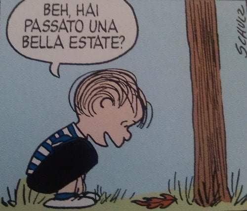 Maria Stella tweet media