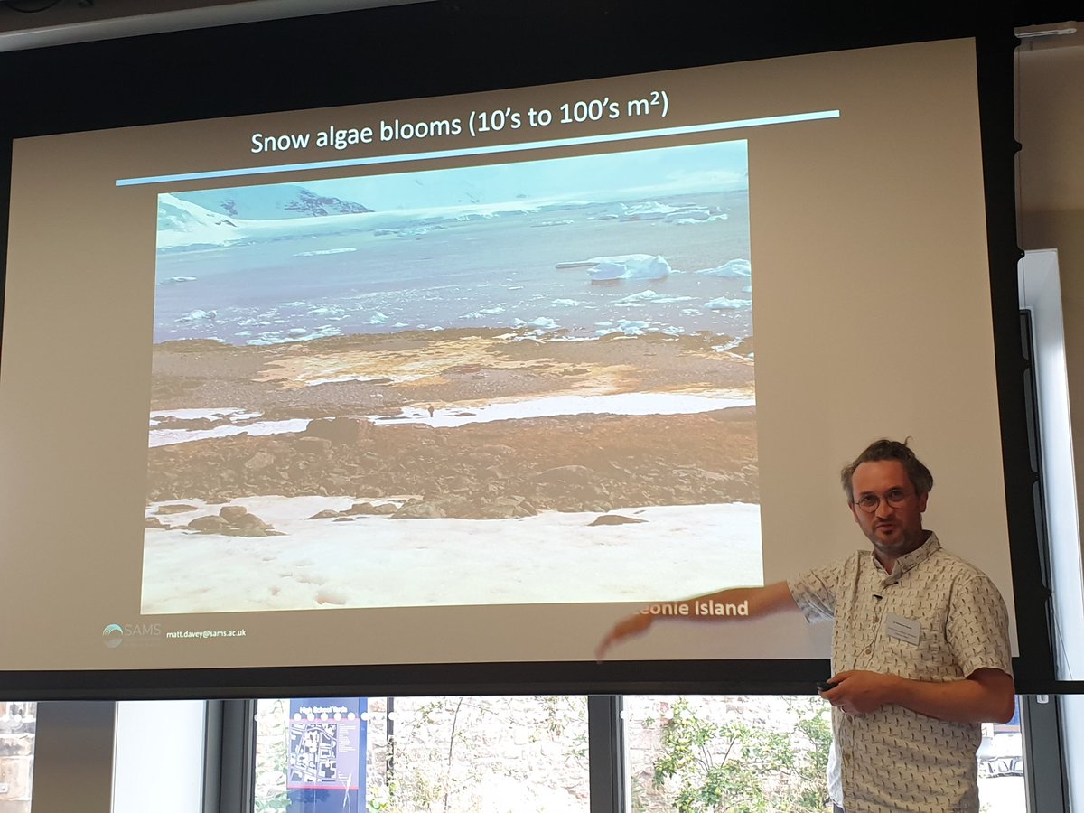 JaszzyJas's tweet photo. Next at #UKASC22 we have @scienceisnotfun chatting about #Antarctic snow algae and how we can measure it - there is huge amounts of diversity and we can even detect some of this from space! 🛰 @SAMSoceannews https://t.co/ubGnwRfEzx
