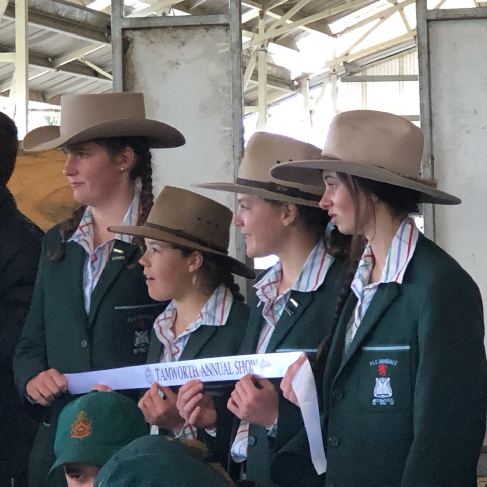 PLCArmidale's tweet photo. Only one team per school was allowed to compete in the Junior Fleece Judging at the Tamworth Show today, so our teams elected to compete in the Senior Fleece Judging for students in Year 10 and above. Congratulations on placing third girls. What a fantastic achievement! https://t.co/i4JyUQyJZK