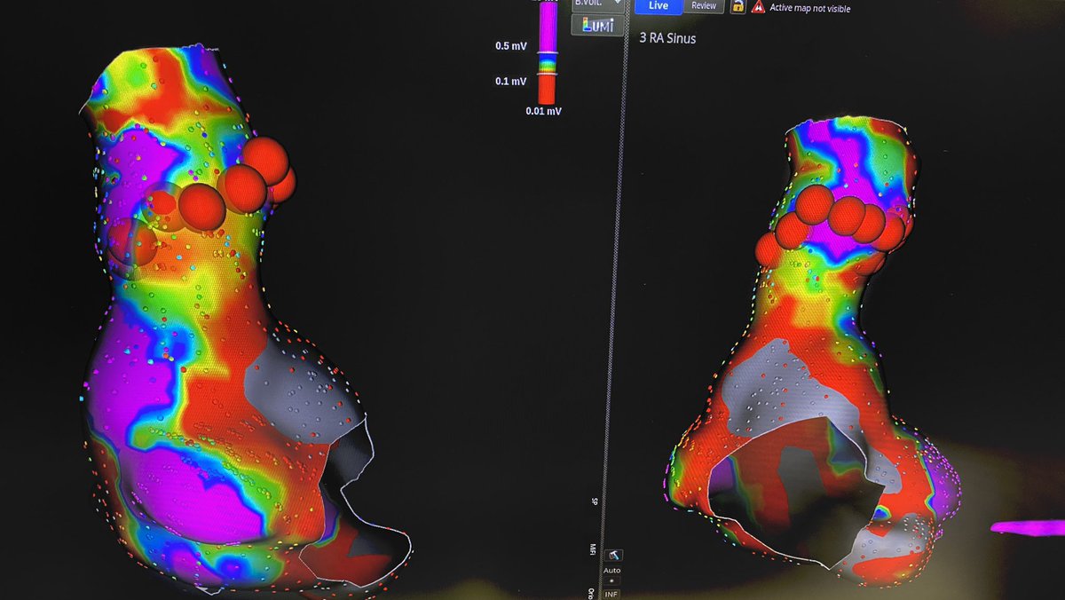 Jon Waldstreicher tweet media