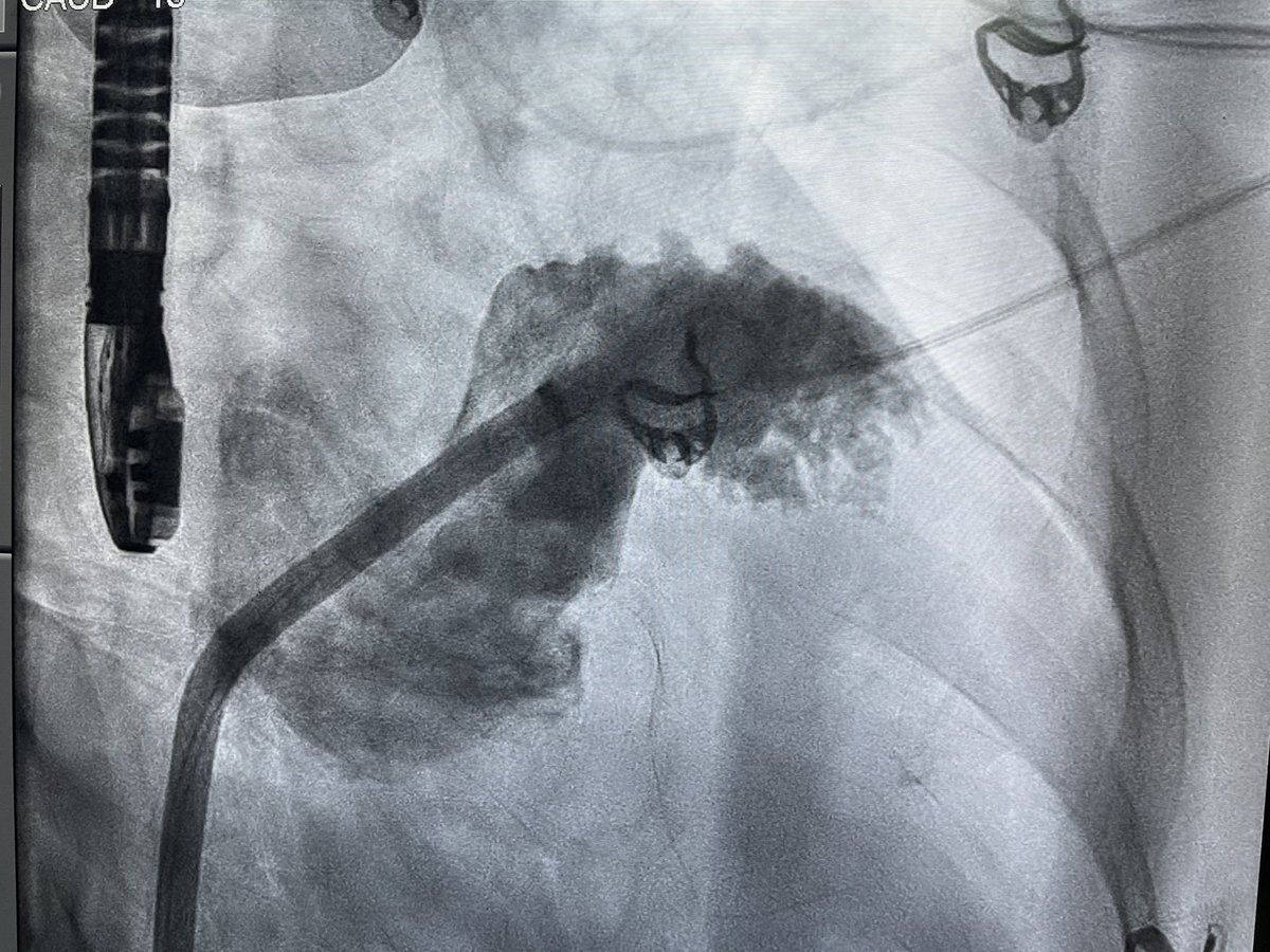 Karthigesan A M tweet media