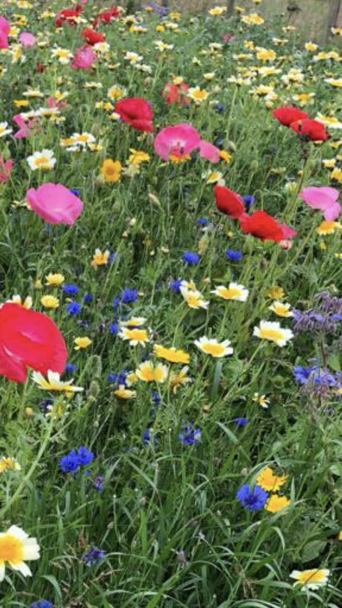 Nicky Jacques tweet media