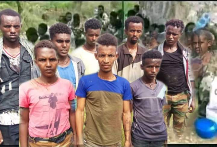 sajid_nadeem78's tweet photo. Picture shared by #Ethiopian army on its social media page. It shows captured #Tigray fighters. The picture has been edited to show as if large number of Tigray fighters has been taken prisoner.
Tigray govt has shown hundreds of ENDF soldiers taken prisoner since August 24 https://t.co/PCuMXhAFBf