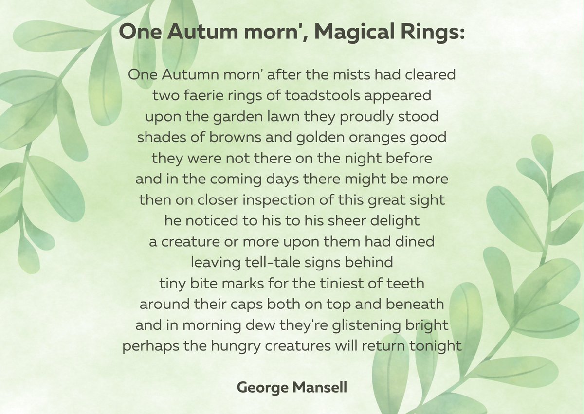 newpathways_'s tweet photo. This poem was written by George. It captures the incredible growth and life that happens on our doorstep. You can always find beauty in the world.
#poetry #survivorvoices #clientcorner #autumn https://t.co/syTLcWZpPY