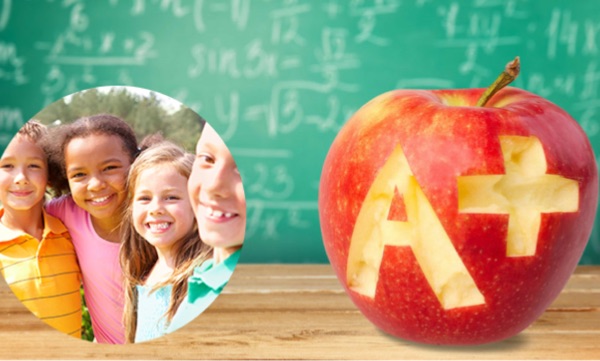 peckstkd's tweet image. September Newsletter - mailchi.mp/5c7499f30409/s…