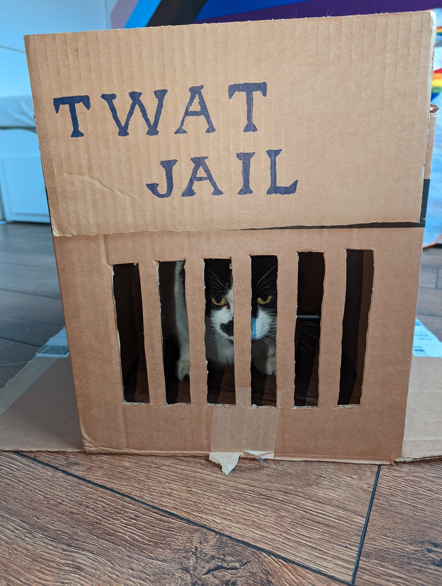 TheSagibearius's tweet photo. Hates me so much π #cat #catjail #CatsOfTwitter #twatcat https://t.co/aRwpRtbhrm