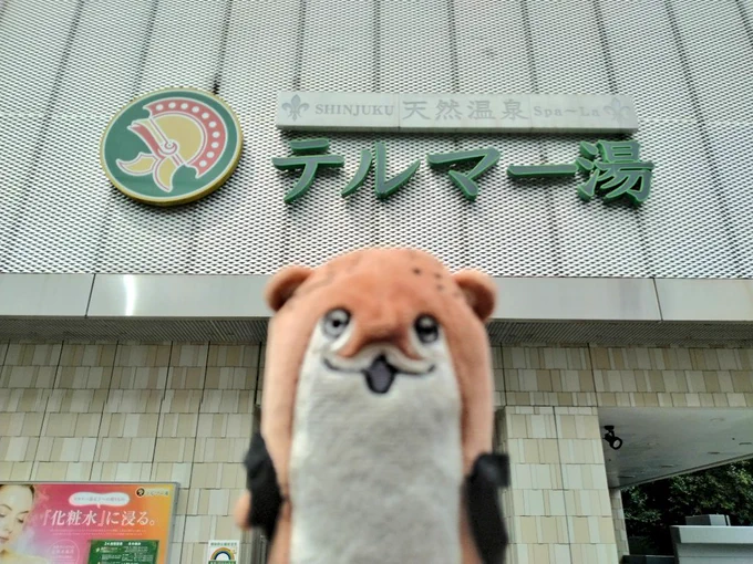 昨日、歌舞伎町にあるテルマー湯に行ってきました!サ室は100度弱+オートロウリュでしっかり熱い水風呂は15度で日本初らしい唐辛子水風呂チンピリはなかったです岩盤浴ありなら無料で屋上にある本格的なトレーニングスペースが利用できますサ飯は味噌カツ定食とオロポ#提督サウナ部 #サウナ 