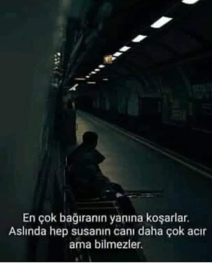 Yaşar baş (@yasarbas2934) on Twitter photo 