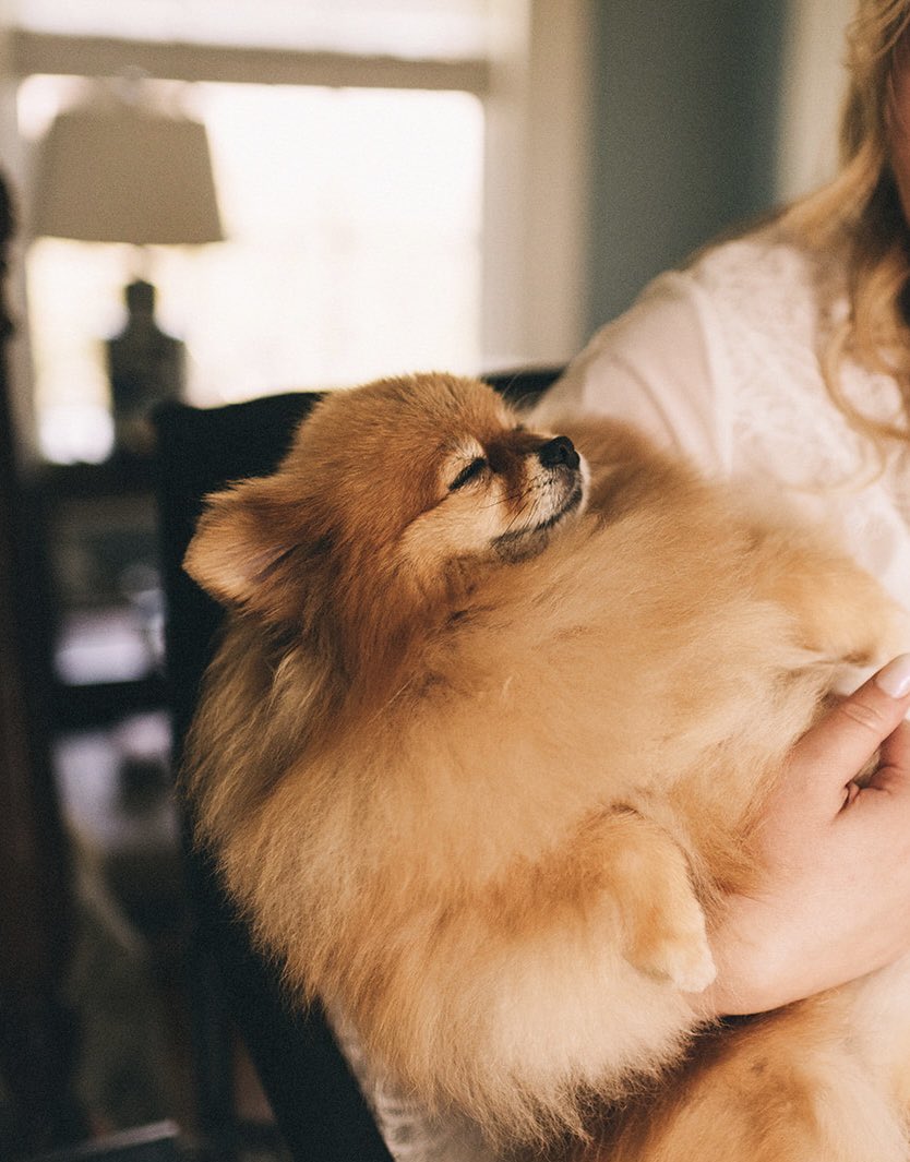 Daniel Dale tweet media