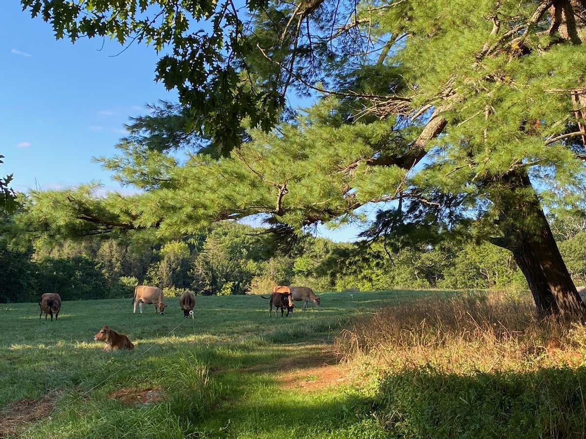 Ben Gotschall tweet media