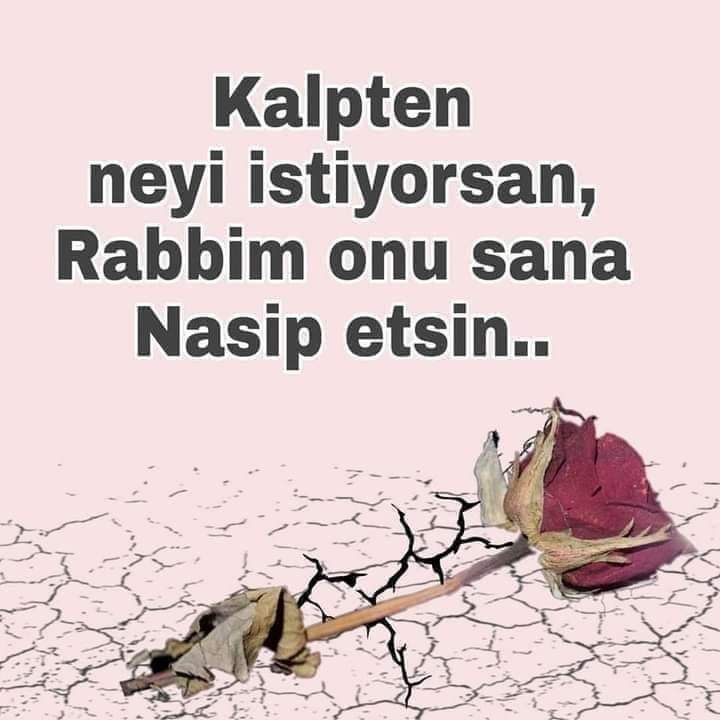 Aminnn