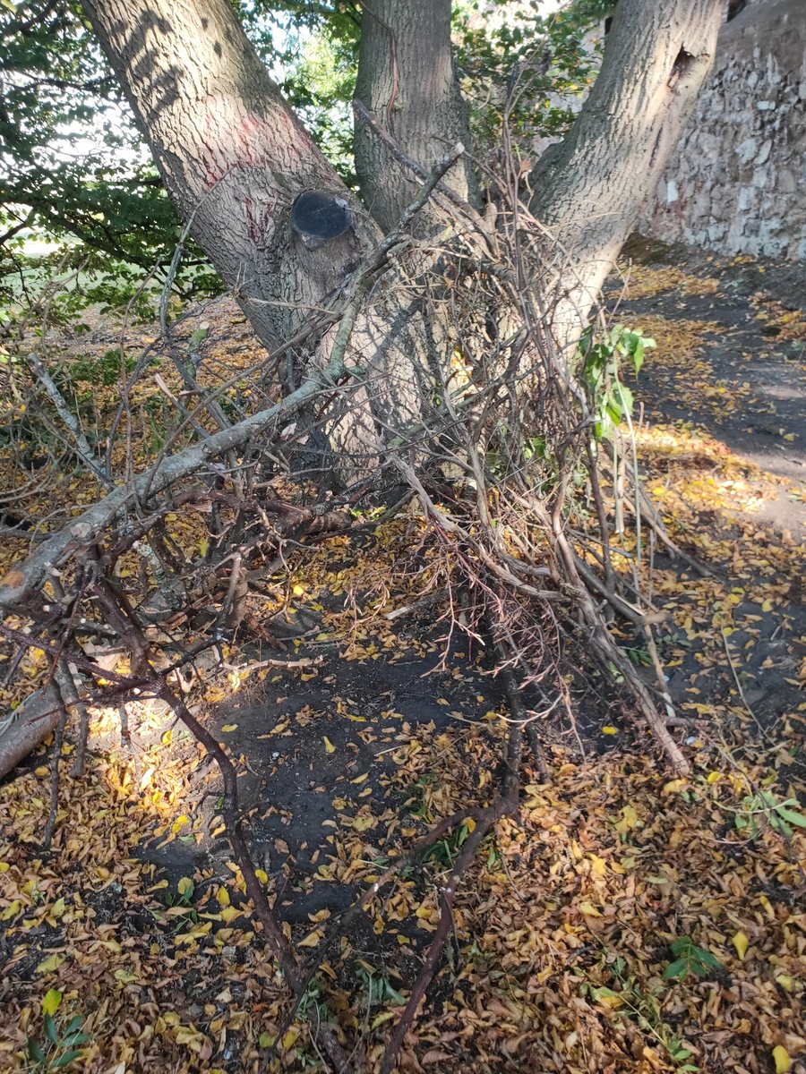 Mr Esson tweet media