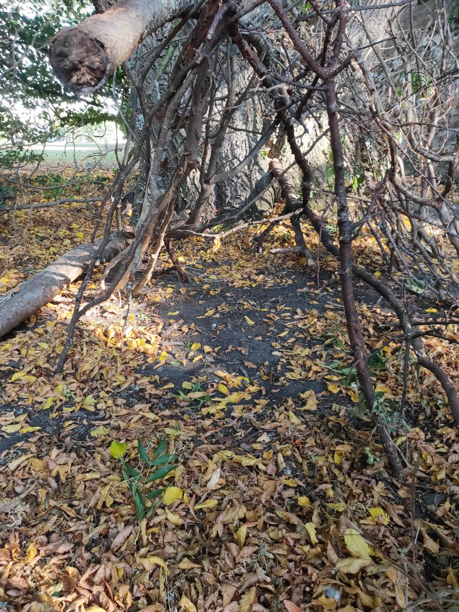 Mr Esson tweet media