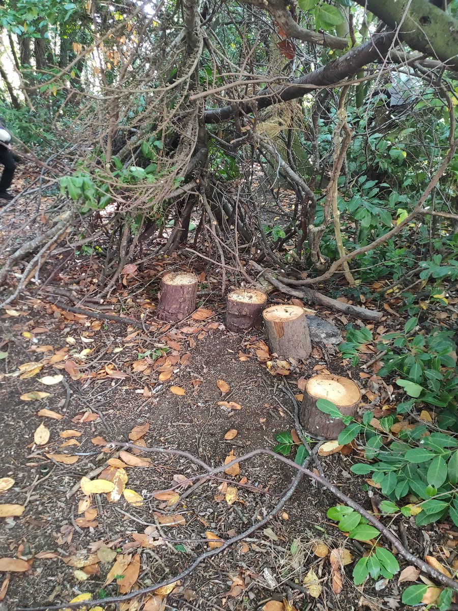 Mr Esson tweet media