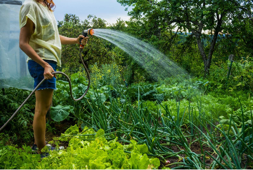 RealtorEldon's tweet photo. Here's how to create a #garden from scratch. #greenthumb  https://t.co/DvGDMktmo4 https://t.co/tjE7vCTrJ6