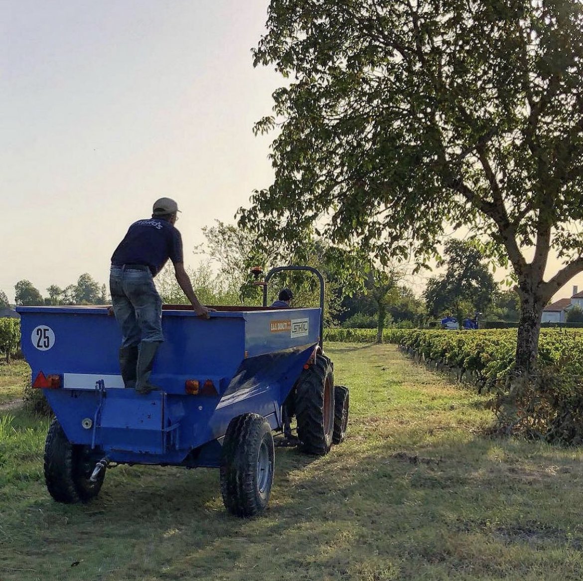 PlaneteBordeaux's tweet photo. ✂️ Les #vendanges battent leur plein dans les domaines des #Bordeaux &amp; #Bordeauxsuperieur !

🍇 Toute une année de travail dont les vignerons récoltent aujourd’hui les fruits.

🍷 On leur souhaite un beau #millésime ! 

#vendanges2022 #harvest #vigneron https://t.co/mWmnWxBjXy