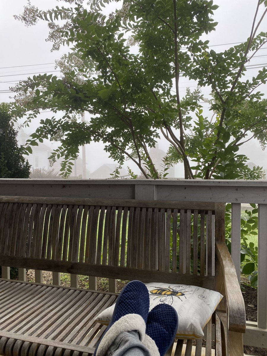 techchix's tweet photo. Foggy morning view from my porch… it’s not that I love fall, so much as I love the beautiful possibilities of a mist-filled morning… https://t.co/a8mb1Gptlc