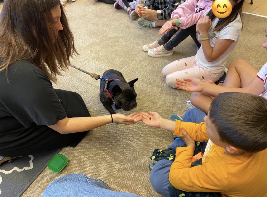 Animal-assisted activities made this Friday in the elementary very special. Please welcome Amara to our Warrior family. @ASW_Warsaw #frenchiefriday #wellbeing #playtherapy #growyourhappiness #comfort