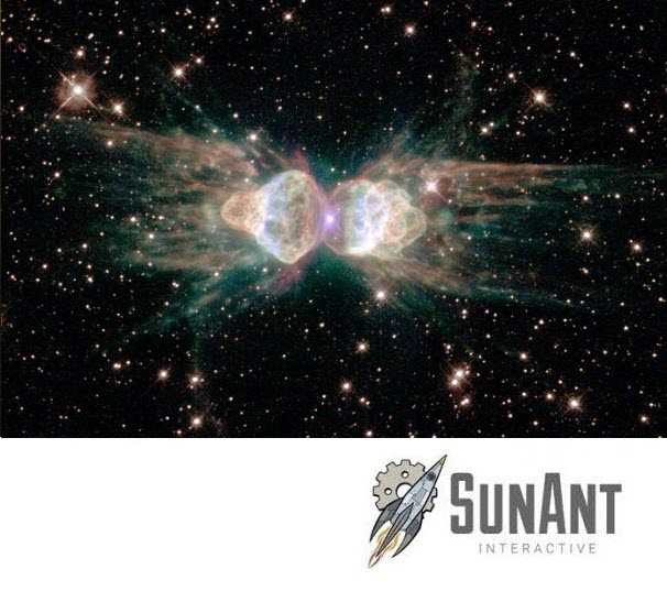SunAnt tweet picture