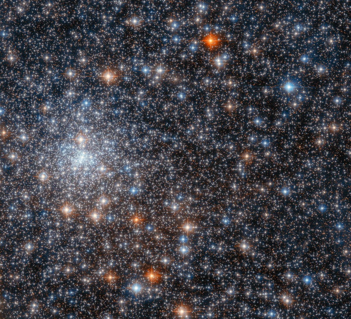 NASAHubble's tweet photo. A glittering gathering of stars ✨

This spectacular #HubbleFriday view shows the globular cluster NGC 6558, about 23,000 light-years away.

Globular clusters are groups of stars bound together by gravity: https://t.co/E2ZiApap9M https://t.co/a8UHg3Pl3k