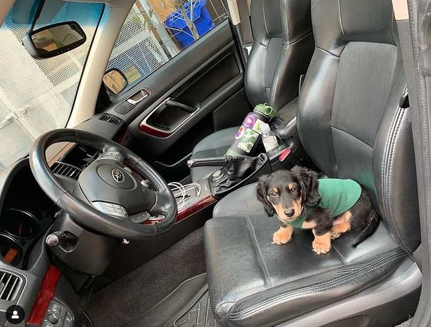 Beardmore Subaru tweet media