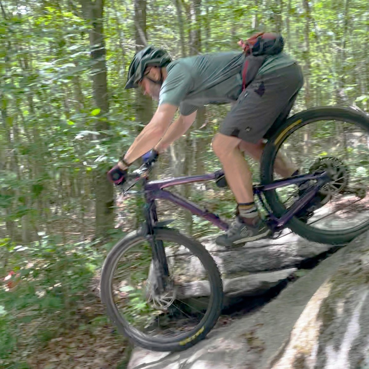 Contentstack's tweet image. Our team recently wrapped up our #SummerFridays, allowing time to spend a few Fridays out of the office to focus on the things that bring joy and balance to their lives. ☀️

Here are some of the memories our tribe made during this time. ❤️ 💜 #TGIF #LifeAtContentstack