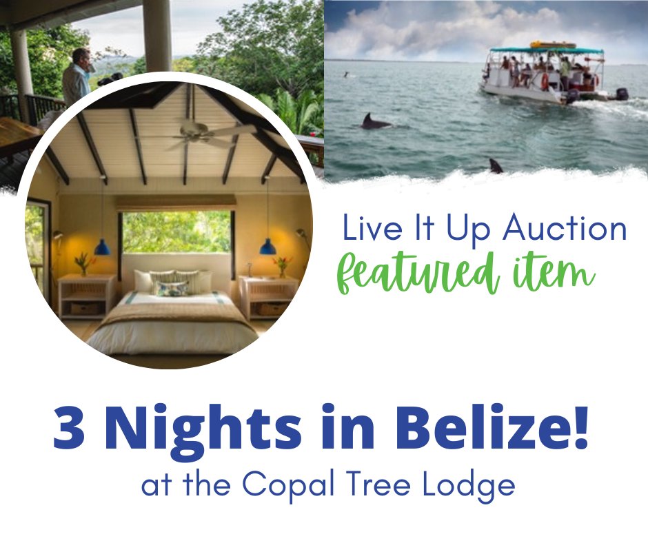 LUNGSTRONGorg's tweet photo. Attending Live It Up LUNGSTRONG 2022? You'll have a chance to bid on this featured live auction item: a 3-night stay for 2 people at the Copal Tree Lodge in Belize including 3 veranda breakfasts, use of bikes and kayaks &amp; MORE! 
Purchase LIU tickets: https://t.co/45gvMl6txU https://t.co/4TRsfg82KI