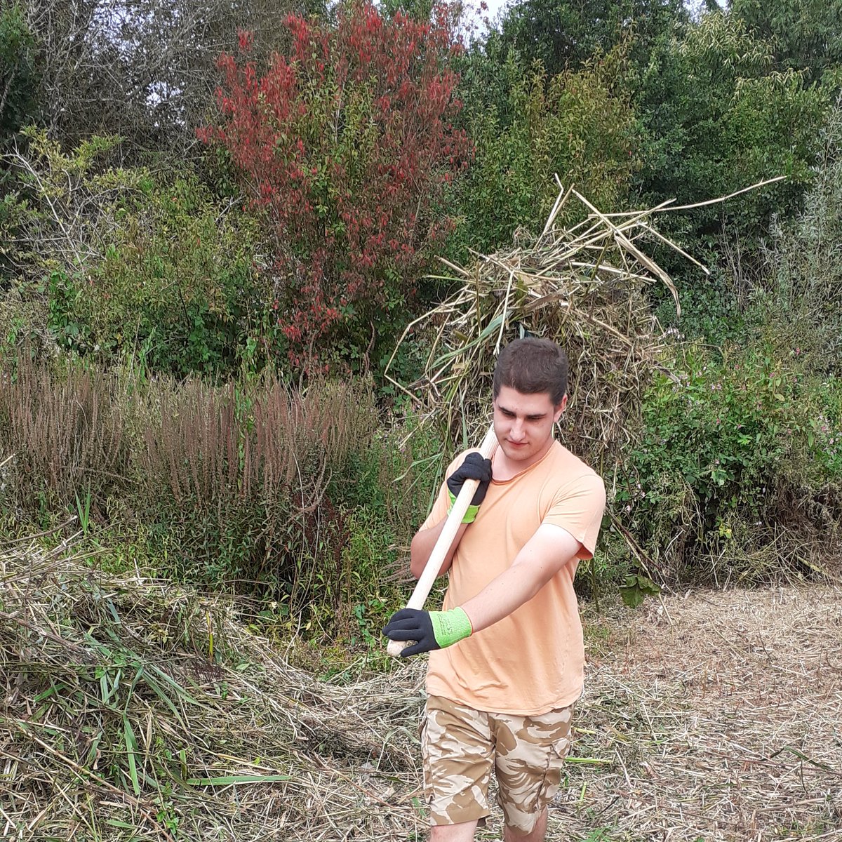 Worked really hard today clearing reeds from the wetlands area. Great job @InnovateTrust @WCVACymru @TakeChargeIT @StepOnProject1 #biodiversity #Wellbeing #AutismAwareness