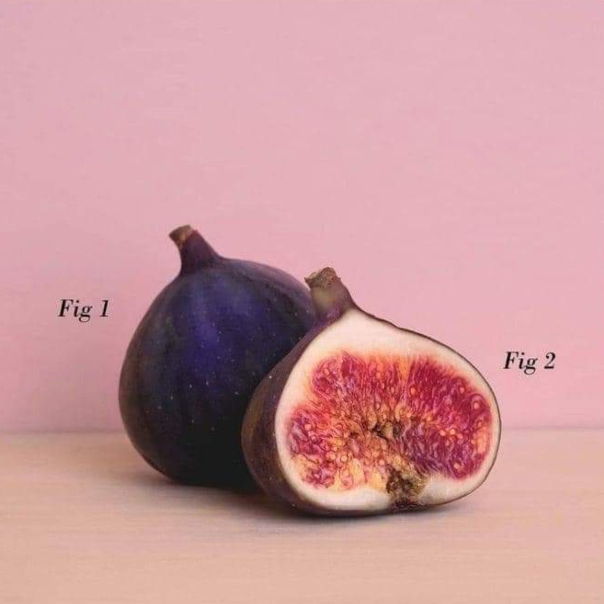 LoLinguists's tweet photo. What do you think? Would #scientists find this #funny?🤪Definitely made us giggle!😂
#entrepreneurship #startup #startups #startuplife #FamilyBusiness #smallbusinessowners #smallbusinessowner #freelancework #xl8 #t10n #editing #proofreading #translationagency #translationcompany https://t.co/H1tVXFlZdn