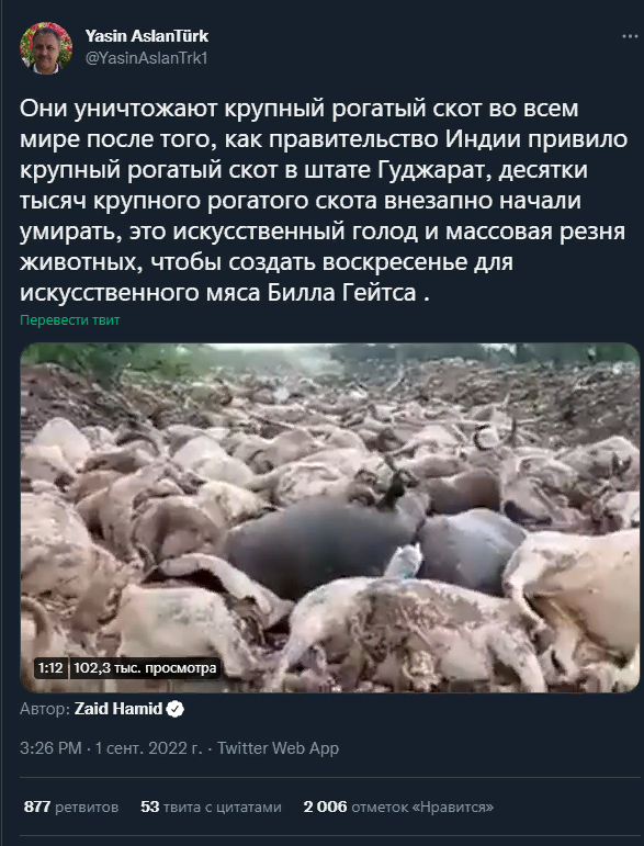 Анна (@anna07238174) on Twitter photo 
