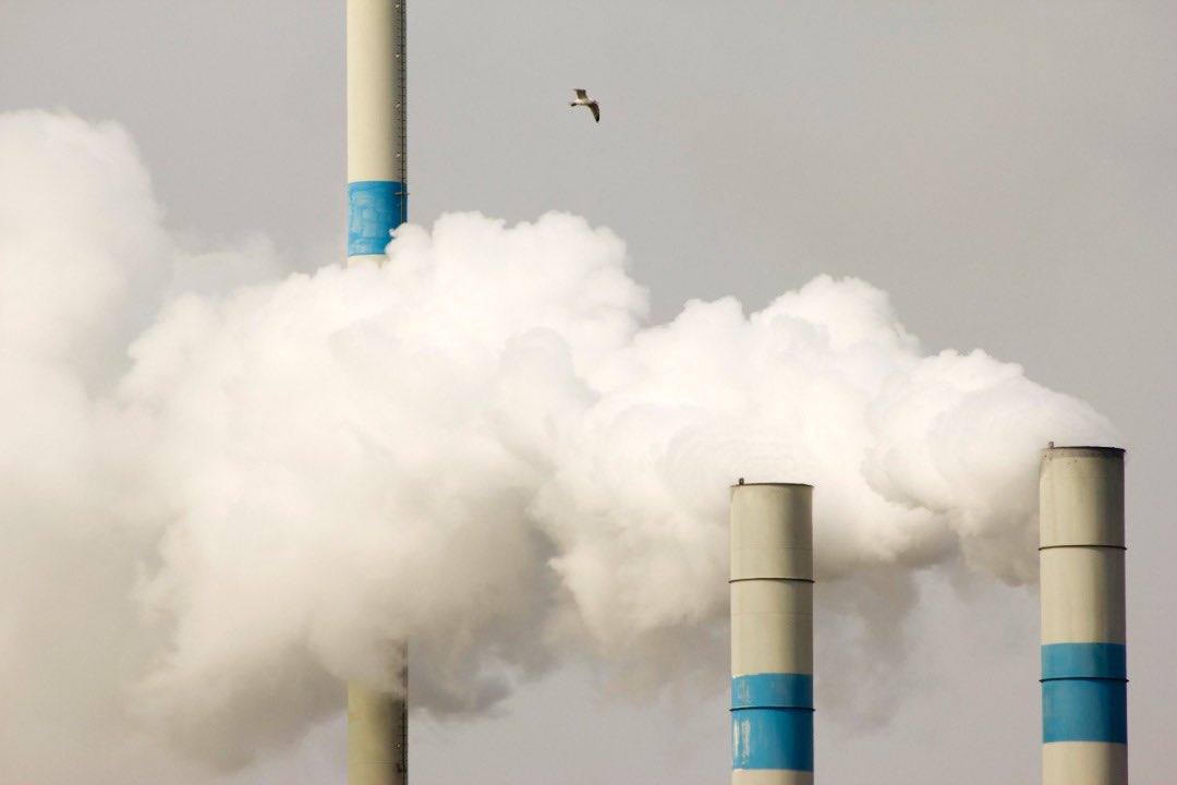 GggiUganda's tweet photo. #DidYouKnow: #Uganda has registered 177 #CleanDevelopmentMechanism (CDM) activities - 19 projects and 158 component activities. This accounts for 74% of CDM certified #emission reductions issued across #EastAfrica.
For more on #Uganda’s NDC Commitments:👇🏽
https://t.co/pPwhIcOM0j https://t.co/sSD1aLbDUb