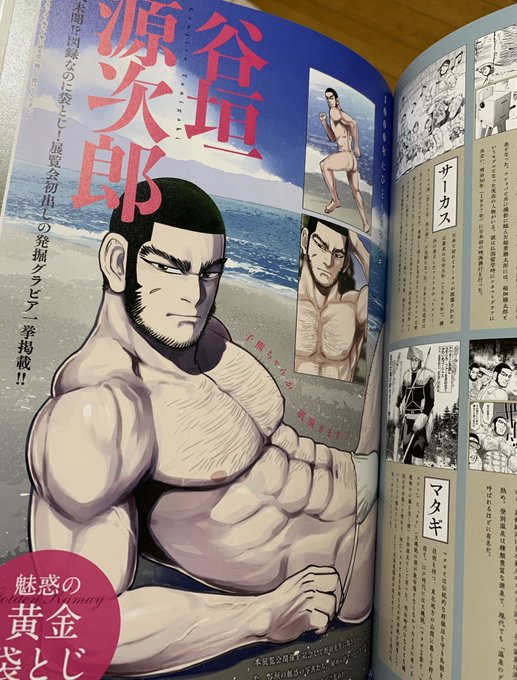 袋とじグラビア付いてる図録とか無法すぎて笑う(しかも谷垣) 