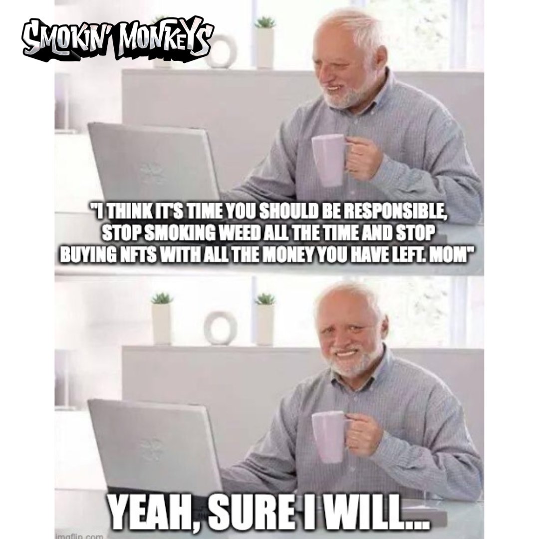 SMOKIN’ MONKEYS tweet media