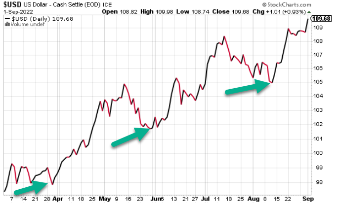 KeithMcCullough's tweet photo. US DOLLAR: remember the time (in mid August) when the Old Wall Chart guys said USD was "breaking down"? #MovingMonkeys https://t.co/B8c0fjbtwz
