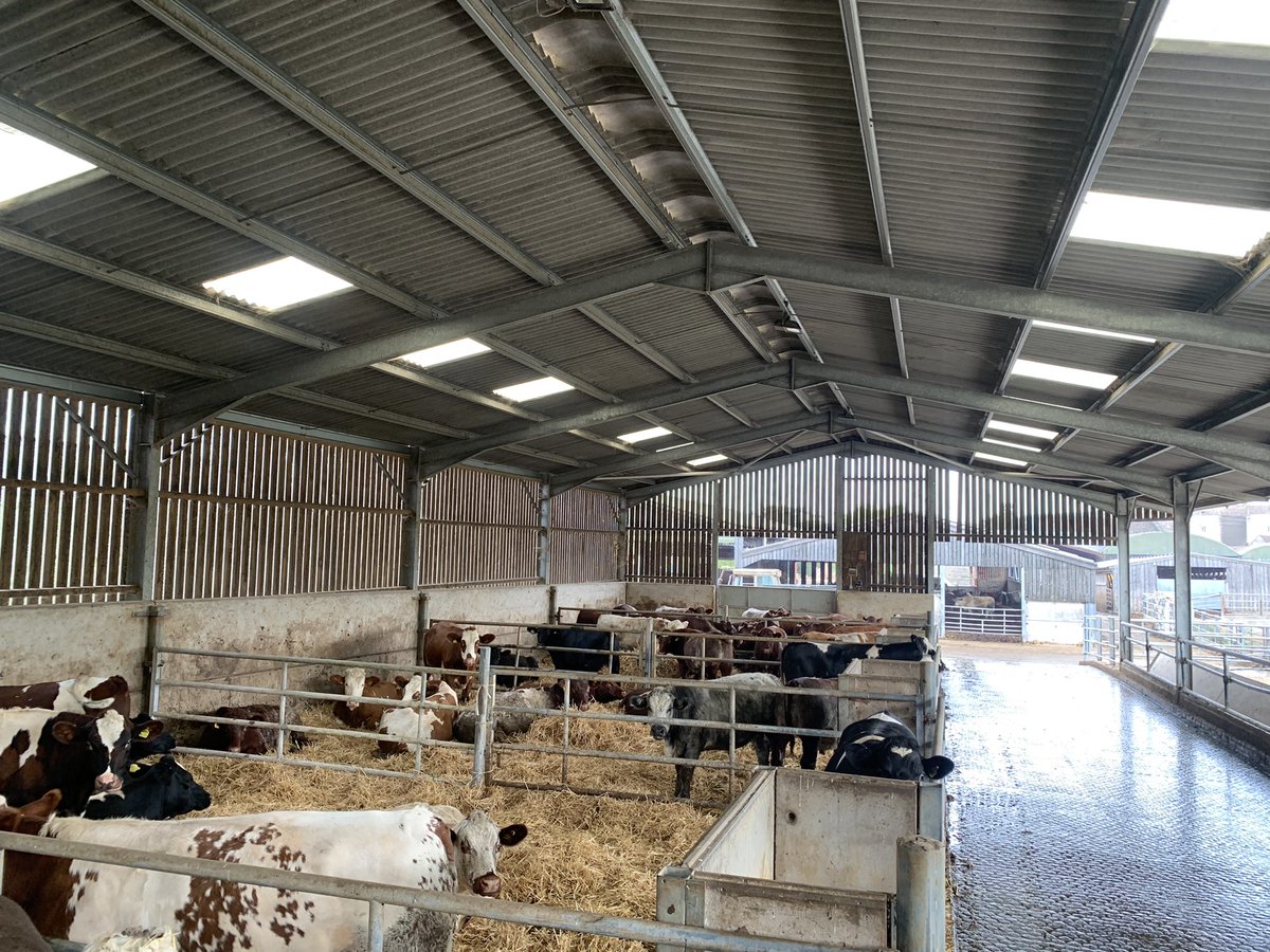 Maximus Pullin tweet media