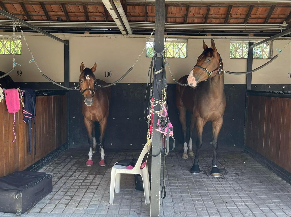coastalcoool's tweet photo. @BenAsgariRacing @Racing @brentzerafa 
Startantes on the left, Prince of Boom on the right ❤️ https://t.co/srlx4oiv9F
