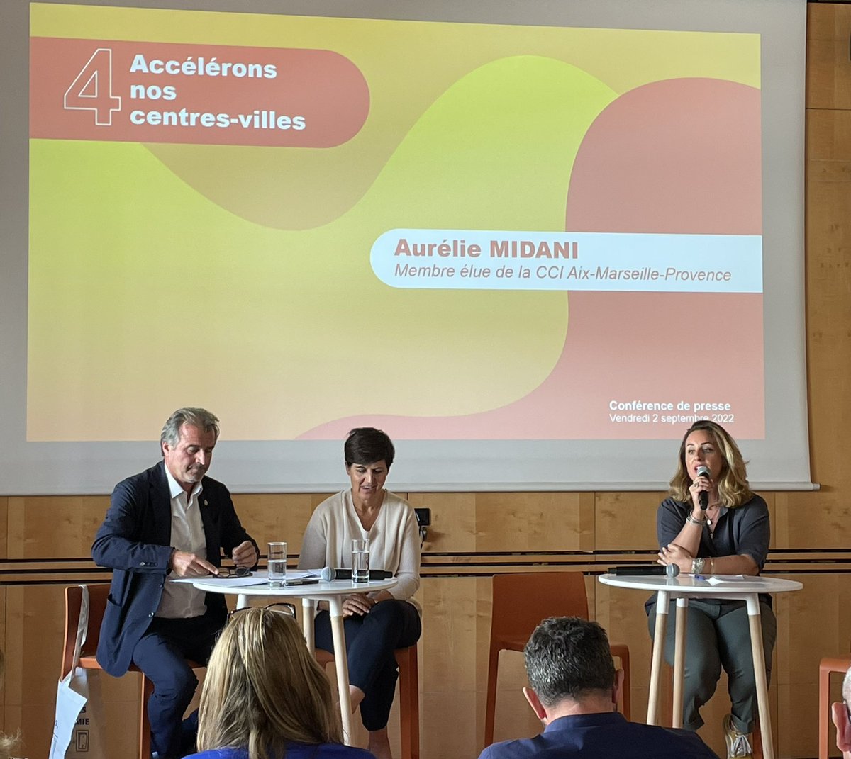 Dynamiser les C-V, faire le lien entre les acteurs de proximité grâce à des managers de C-V : il faut faire de cette opportunité une réalité dans tous les C-V. Pour ce faire la CCIAMP va lancer un club des managers de C-V et une formation diplomante pour accélérer les pratiques