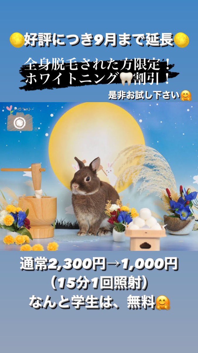19_o6's tweet photo. beauty salon Vias
レディース脱毛価格できました！

そしてなんとなんと！24歳まで学割対象です！

脱毛もホワイトニングもご予約みふゆのLINEにでも構いません！よろしくお願いしますm(_ _)m

場所 沖縄市与儀3-6-1メゾンS＆K与儀

📞070--9013-8853 https://t.co/UgaWCmeU2A