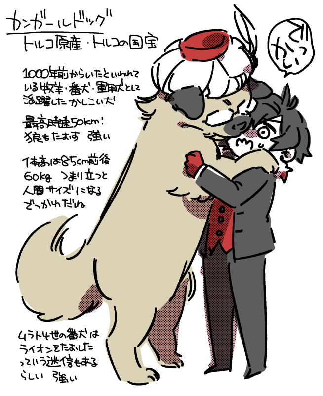 メフコン。年下ワンコ攻めがgentle puppy topときいたので。国宝の犬だってさ。でっかわだね。 