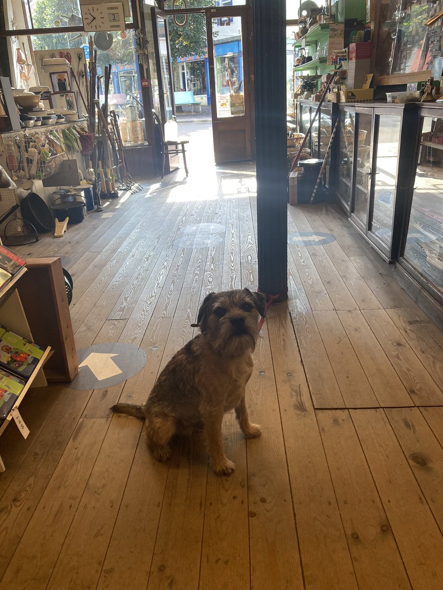 Waiting for his treat!